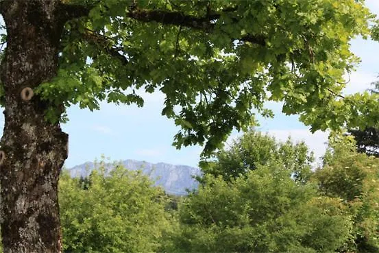 Friedenseiche 호텔