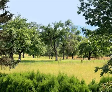 فندق Friedenseiche بيدكتبيورن