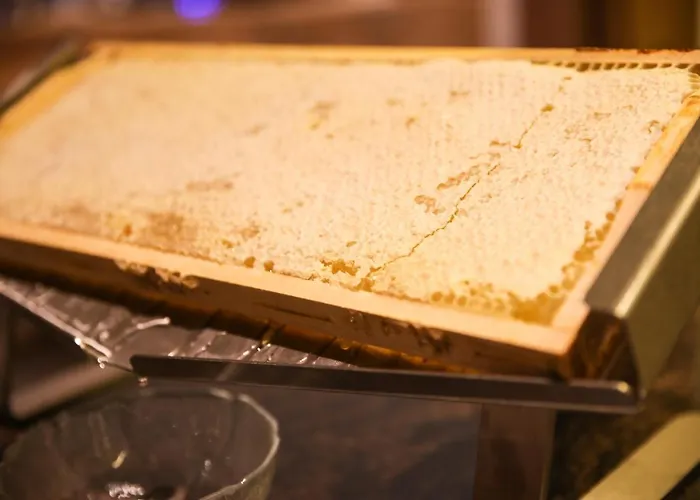 Szálloda Friedenseiche